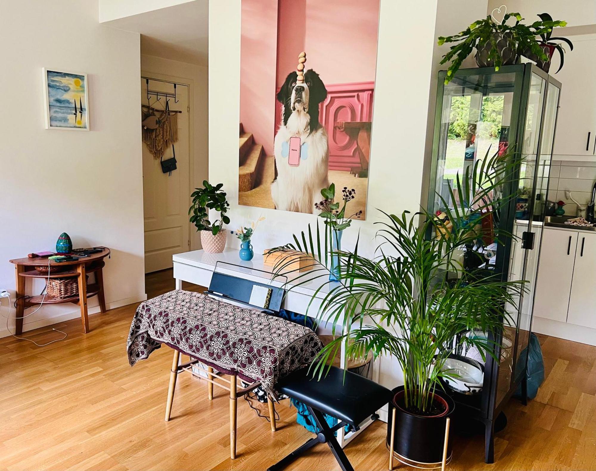 Cozy Place For Family Or Friends Appartement *